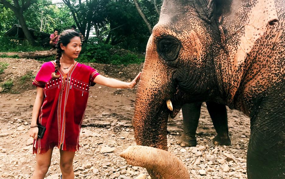 Woeser Dolma '18在泰国留学期间参观了一个大象保护区 