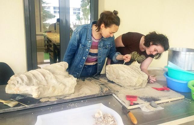 College students work on excavating a fossil of a horse in Greece